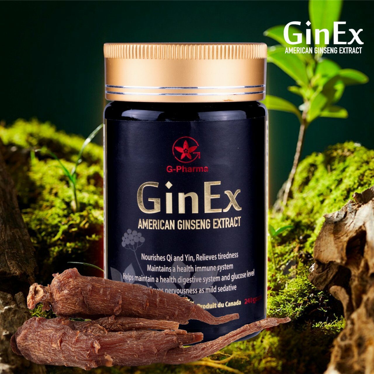 GinEx®西洋参黑膏滋®（240克装） - 图片 3