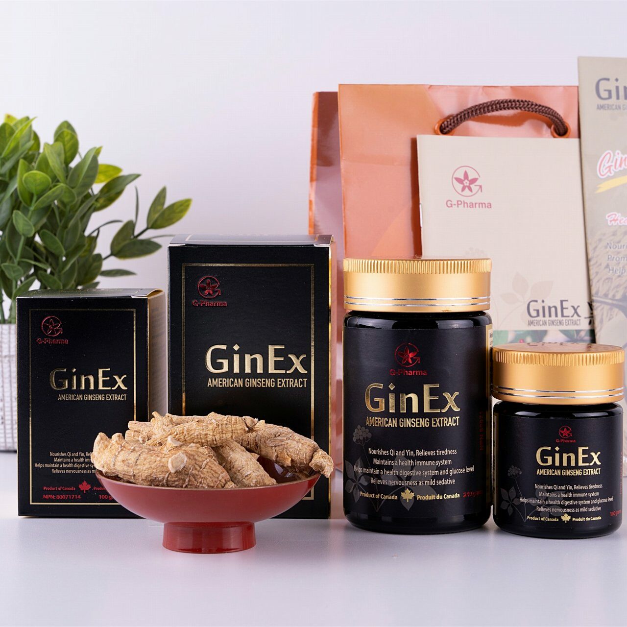GinEx®西洋参黑膏滋®（100克装） - 图片 3